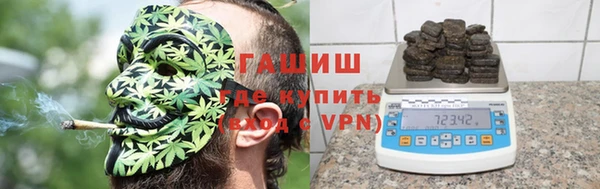 шишки Магас