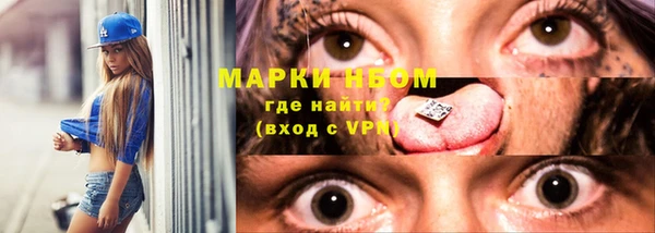 шишки Магас