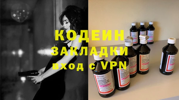шишки Магас