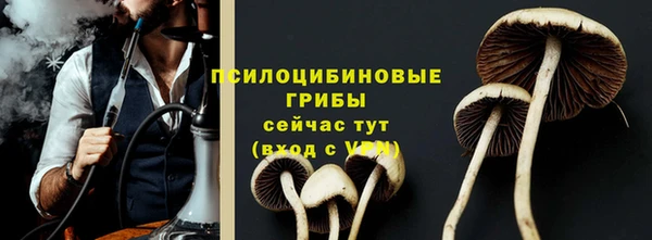шишки Магас