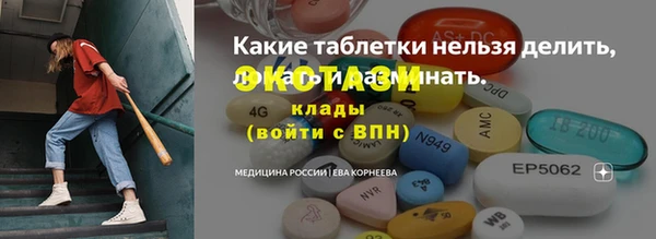 шишки Магас