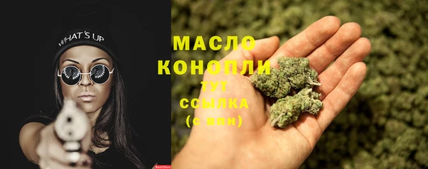 шишки Магас