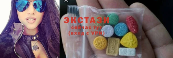 шишки Магас