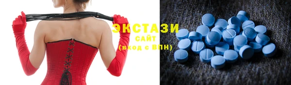 шишки Магас