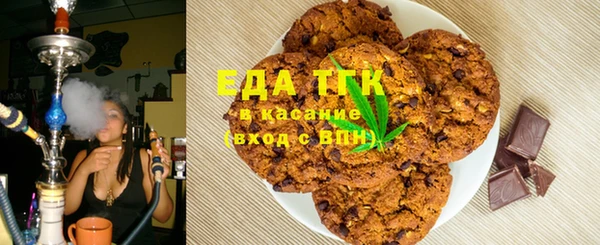 шишки Магас