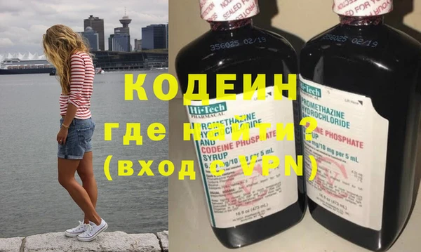 шишки Магас