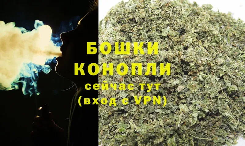 Конопля White Widow  Далматово 